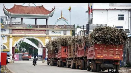 果敢上萬噸甘蔗進(jìn)入云南 圣母心網(wǎng)友 可幫建工廠,促進(jìn)當(dāng)?shù)匕l(fā)展