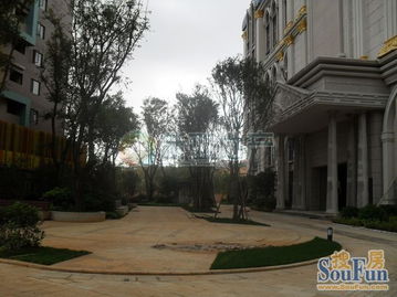 新亞100 真房源,南亞未來城精裝修,采光戶型一流,價(jià)格便宜 房產(chǎn)頻道 云南信息網(wǎng)