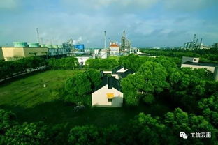 聚焦 全國(guó)第四批綠色制造名單公布 云南這些工廠 產(chǎn)品和園區(qū)上榜,其中保山1家綠色工廠